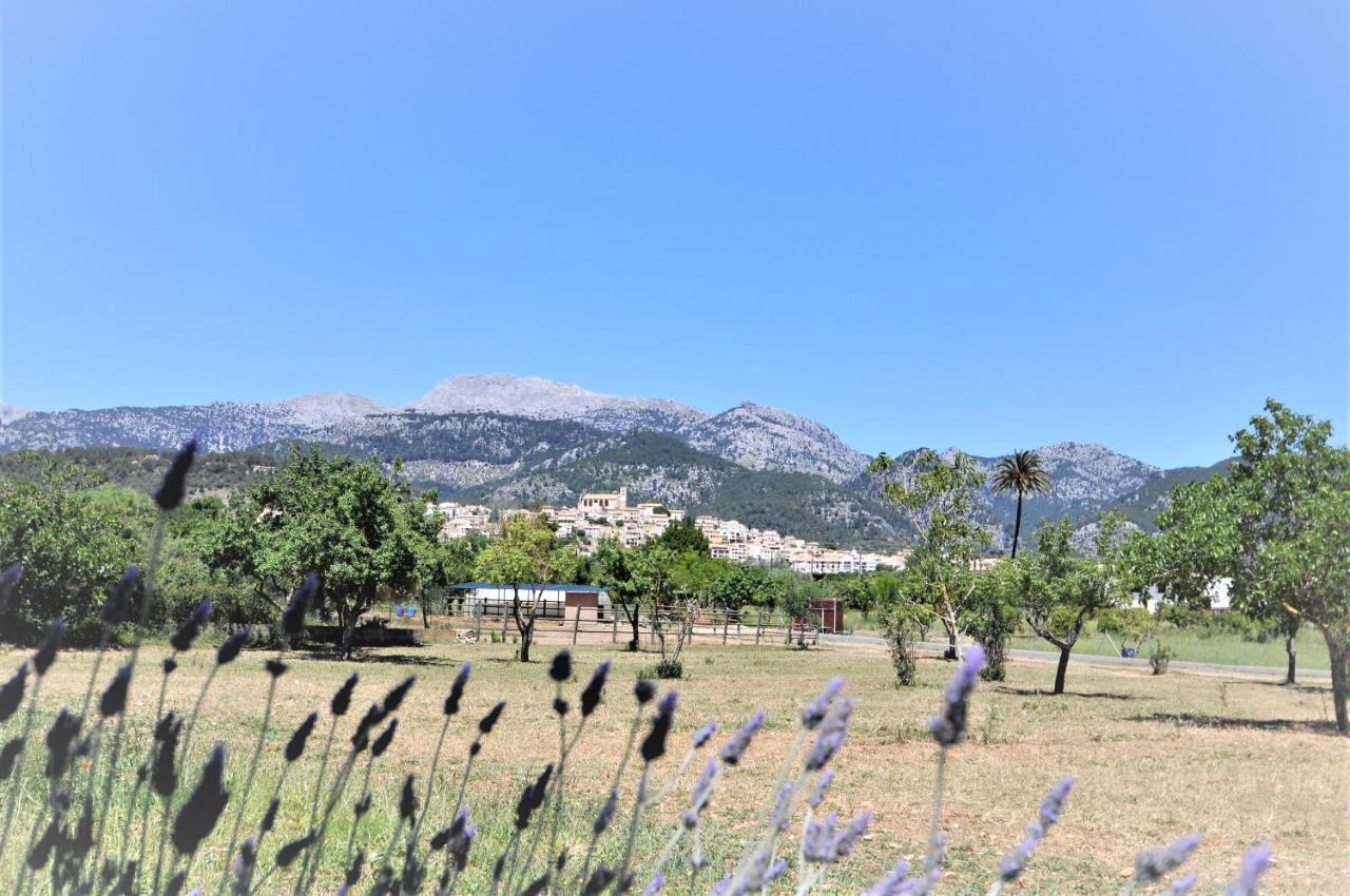 Son Rubi A Pies De Serra Tramuntana *